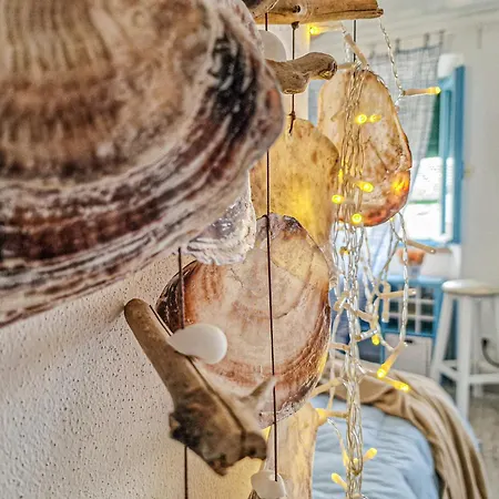 アパート Loft Azzurro Old Center リオ・マリーナ